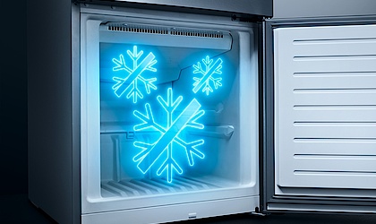 noFrost bei Elektro Landmann in Regis-Breitingen