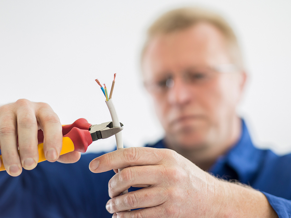 C F021729 bei Elektro Landmann in Regis-Breitingen